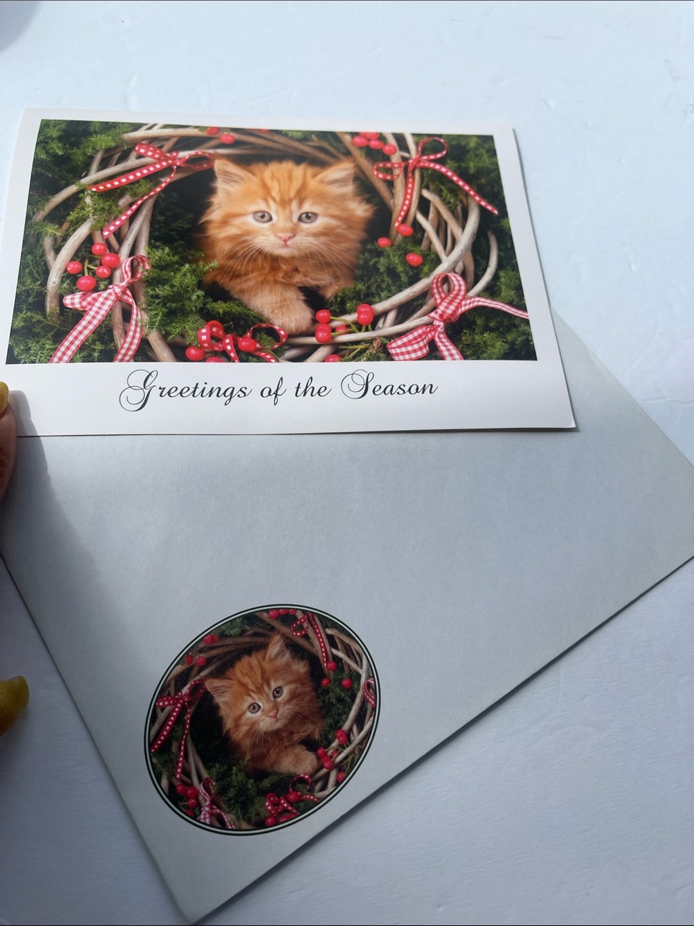 Kitten Christmas Card - Picture 7 of 9